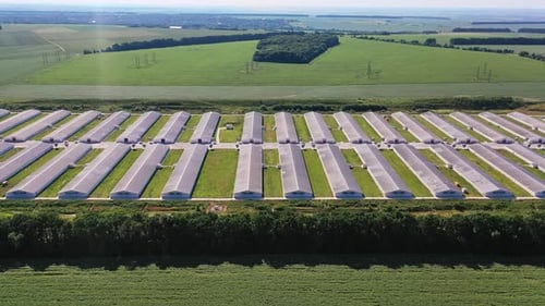 Un certain nombre de grandes écuries sur l'usine agricole moderne. Zone agricole moderne dans les terres agricoles
.