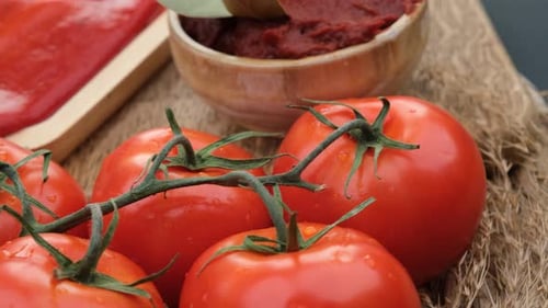 Tomato Ripe Paste