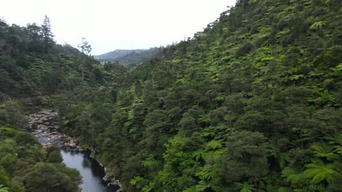 180 Drone Pan of river in Gorge New Zealand with bushland trees