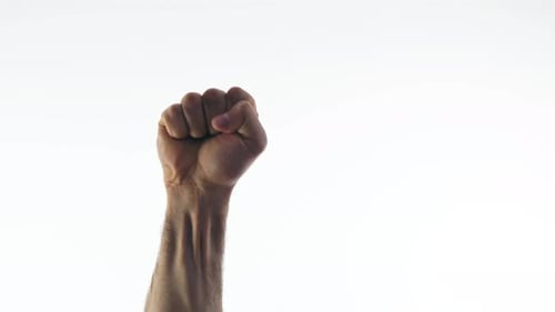 Hand of a Man Clenched Into a Fist on a White Background