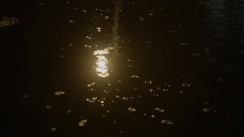 Raining Wet Weather on Urban City Street at Night Background