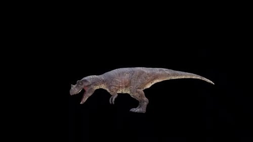 Ceratosaurus Roar Loop