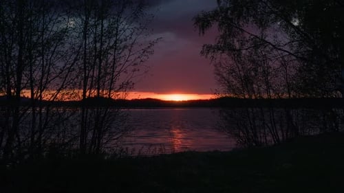 Summer sunset