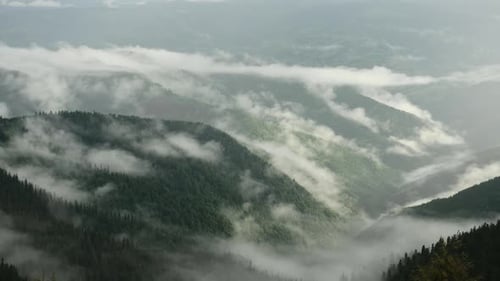 Majestic Carpathian Mountains. Beautiful landscape of untouched nature