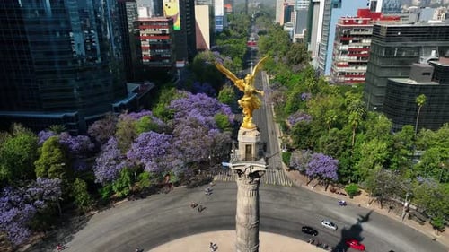 Aerial view of cityscape with jacaranda trees, Mexico.