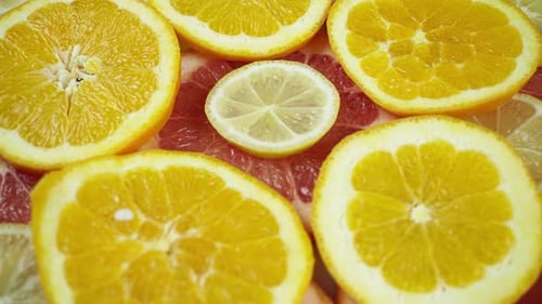 Colorful Citrus Fruit Slices Rotating Close Up