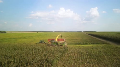 Tractors Harvesting Corn Crop in Rural Farmland