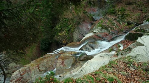 Mountain stream cascading down rocks in an autumn forest. Water flowing rapidly down a rocky creek