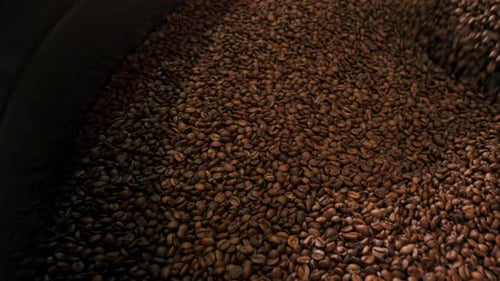 Closeup of a Coffee Roasting Factory Inside Drum Roasting Stirring Coffee