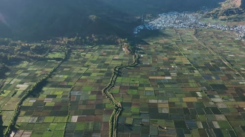 Famous Bukit Selong rice fields in valley of tropical island Lombok, aerial
