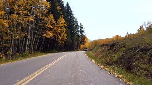 POV footage of driving in the Rocky Mountains of Colorado in fall season