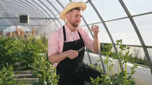 Young Adult Trimming Plants in Greenhouse With Shears