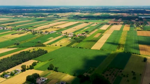 Green abstract image of diagonal lines from different crops in field in early summer, shoot from dro