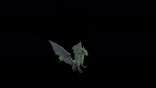 Dragon Landing Video to Idle State