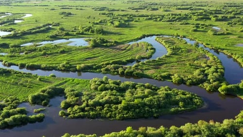 A winding river flows through a swampy plain and forest, aerial view.