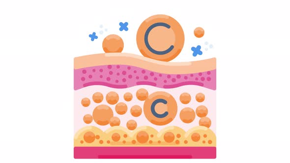 Animated Skin Health Diagram with Vitamin C Absorption, Elements Motion ...