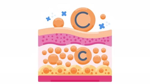 Animated Skin Health Diagram with Vitamin C Absorption