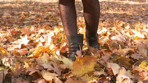 Pernas de mulher andando sobre folhas de outono caídas