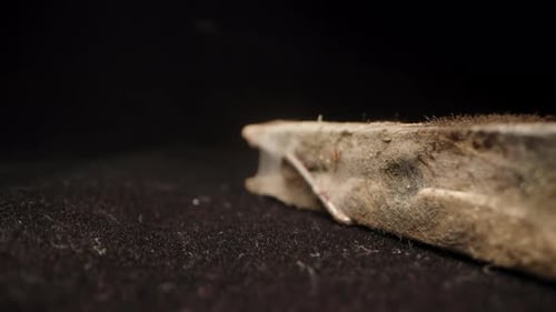 Aged, Dusty Object: Close-Up Zoom