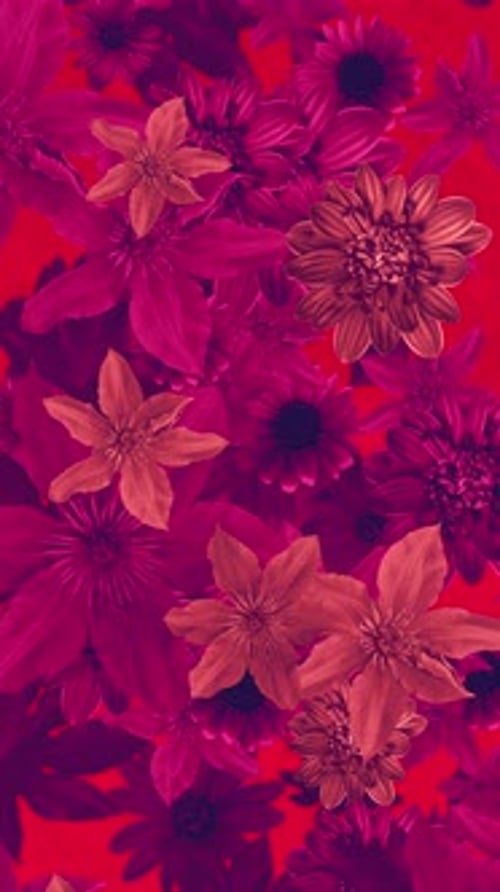 Abstract Floral Pattern Vertical Motion Background Seamless Loop