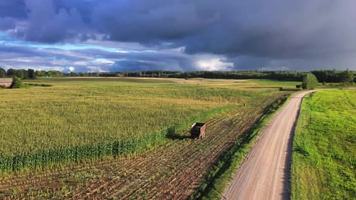 Tractor trailer left near majestic corn field with dark stormy clouds above