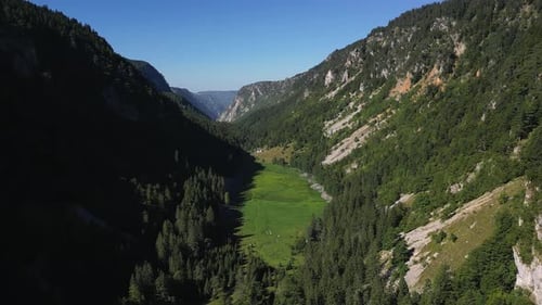 A large gorge covered with forest. Mountain landscape. Aerial view.