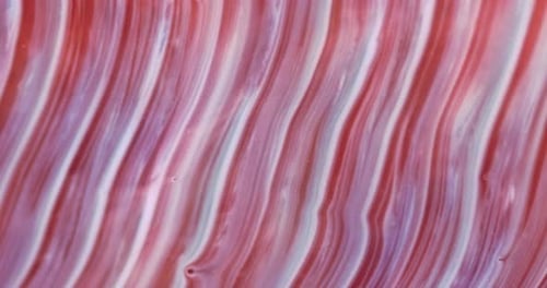 Abstract Texture in Red White Purple Tones Ink Space