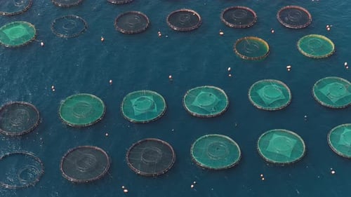 Aerial view of aquaculture fish farm cages