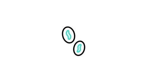 Bouncing Flat Design Microbes Animation