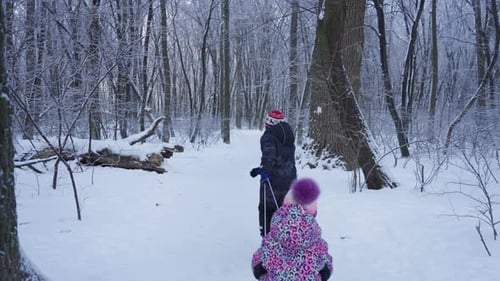 Joyful Kids Sledding Through Winter Forest Snow Playing Together