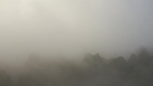 Aerial perspective of drone rolling in over dense forest below.
