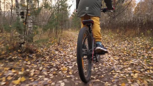 a Boy Rides a Bicycle Alone Through a Wild Autumn Forest Bike Ride