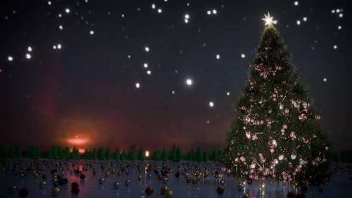 Christmas Tree in Snowy Landscape with Northern Lights