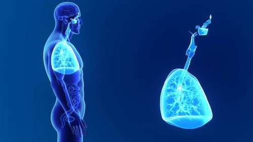 Futuristic 3D Render of Human Lungs and Respiratory System
