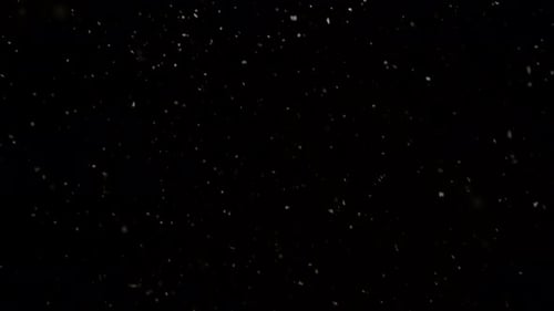 Falling White Particles on a Black Background