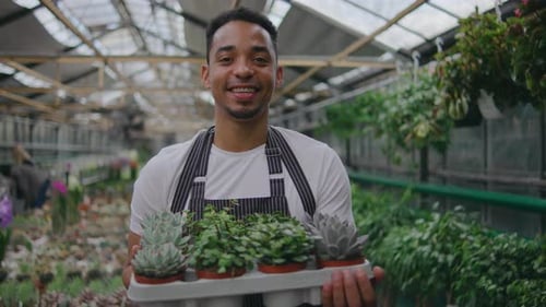 Male Worker in a Greenhouse Portrait of a Man Holding a Pot of Beautiful Green Plants Botanist