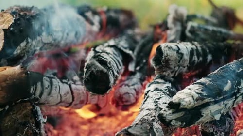 Close up of firewood, burning logs. Beautiful calm vivid fire flame over wooden logs