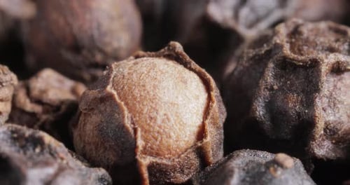 Peppercorns or black pepper spice. Super Macro Close Up.