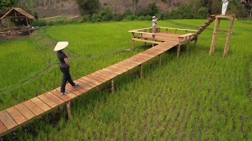 Rice Field in Luang Probang Laos