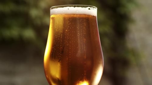 Bubble streams in amber beer with head. Green bokeh and highlights
