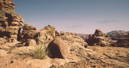 Rocky Desert Landscape with Sparse Vegetation Under Clear Blue Sky