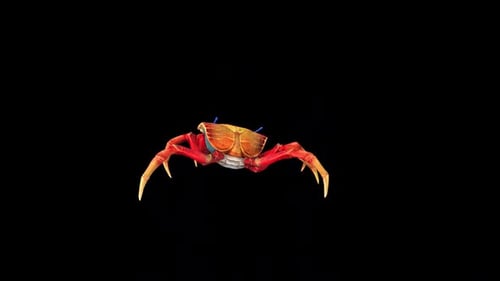 Colorful 3D Animated Crab Walking on Alpha Channel