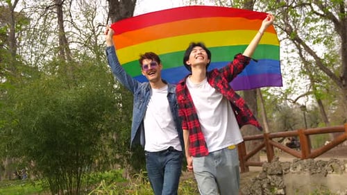 Cheerful Couple Holding Pride Flag in Park