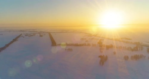 Aerial Drone View of Cold Winter Landscape with Arctic Field Trees Covered with Frost Snow and