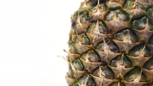 Close up of a pineapple rotating on a white background.