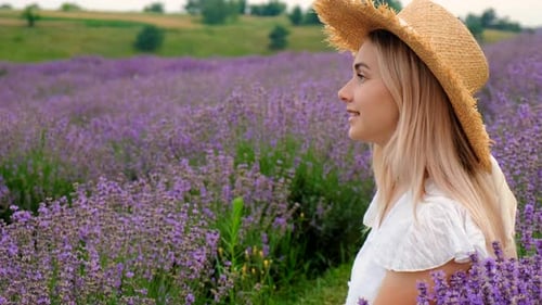 Femme dans un champ de lavande, focus sélectif