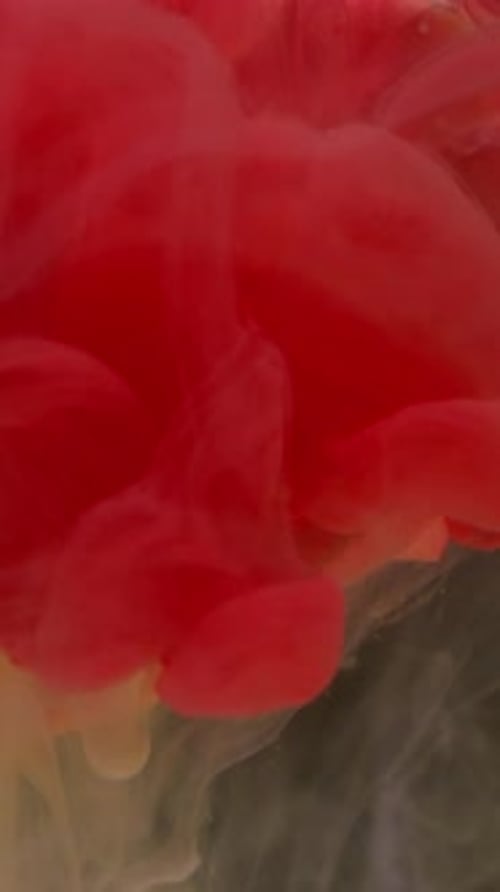 Abstract Motion of Red Ink Spreading Through Water