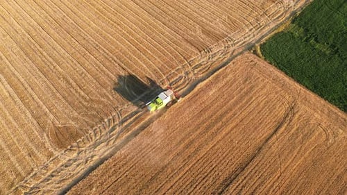 Agricultura: cortador de feno, trator de pelúcia, trabalho de campo moderno, vila rural, drone aéreo