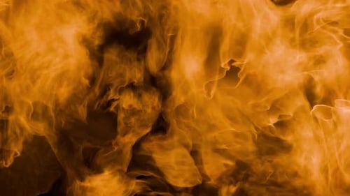 In der Mitte des Rahmens brennt Feuer. Flammenanimation. Feuer. Mächtige, lodernde Flamme. Feuer.