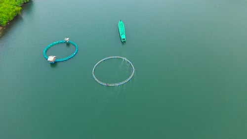 Fisheries on Luzon Island Philippines Fish Farm Top View